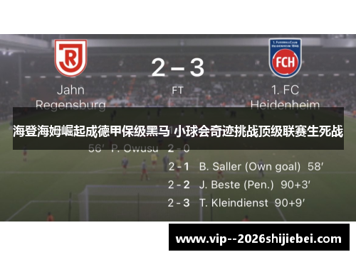海登海姆崛起成德甲保级黑马 小球会奇迹挑战顶级联赛生死战