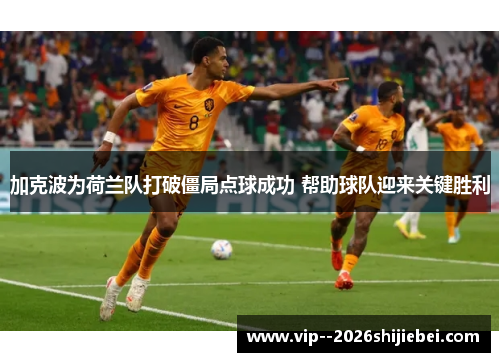 加克波为荷兰队打破僵局点球成功 帮助球队迎来关键胜利 加克波为荷兰队打破僵局点球成功 帮助球队迎来关键胜利