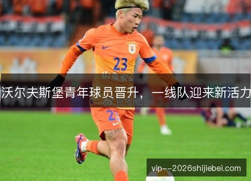 沃尔夫斯堡青年球员晋升,一线队迎来新活力 沃尔夫斯堡青年球员晋升,一线队迎来新活力
